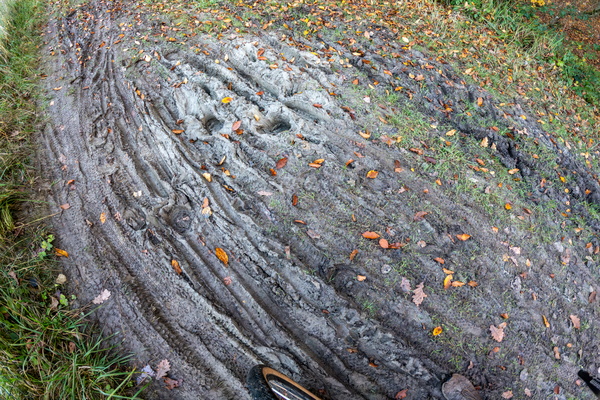 Tyre-d trails
