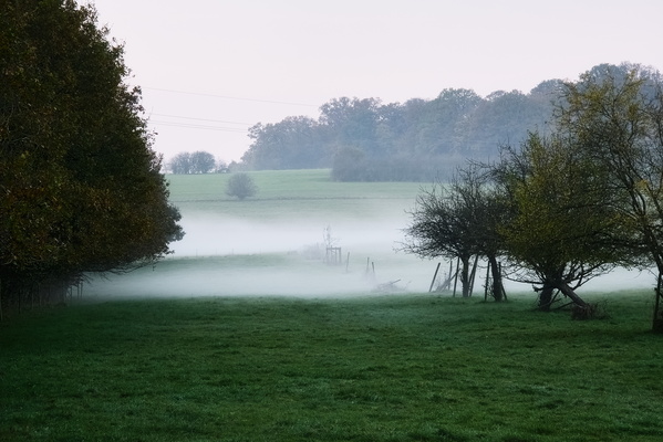 Foggy bottom of the hill