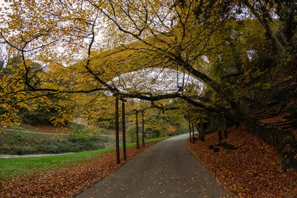 Autumn in the Pétrusse valley