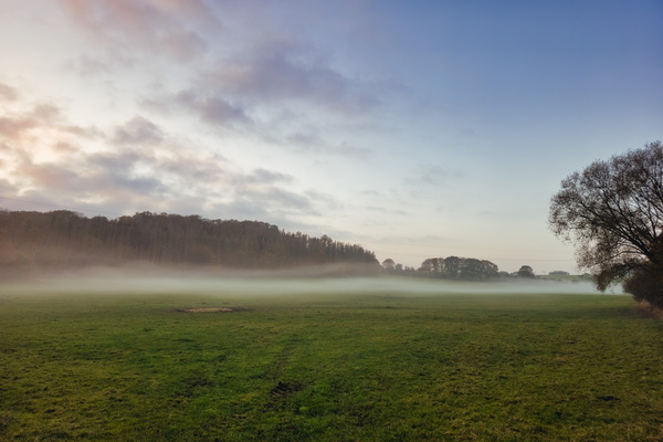 The fog had a field day