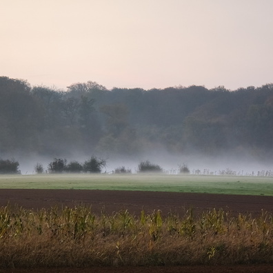 20241104_171807.jpg