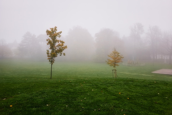 Where's the view gone?