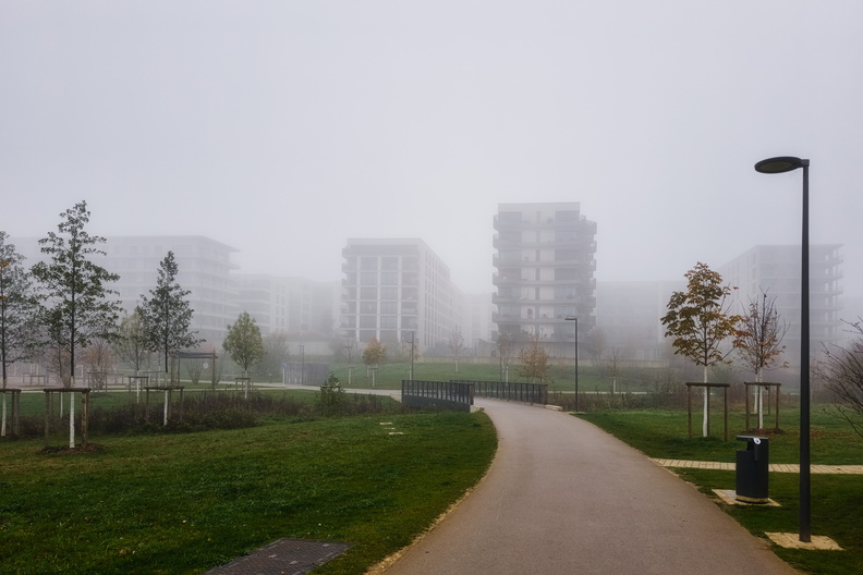 20241105_155845.jpg