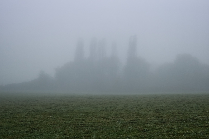 20241105_171000.jpg