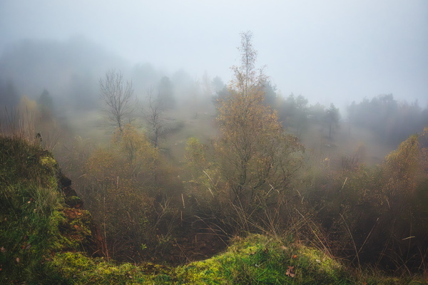 Foggedaboutit