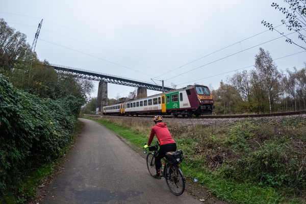 Train goes choo-choo, I go whee-whee