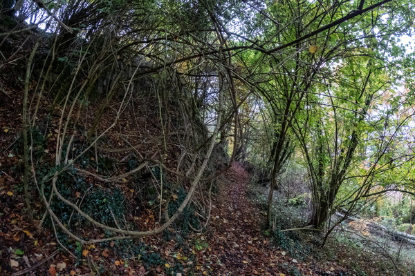 Take a hike on the MTB trail