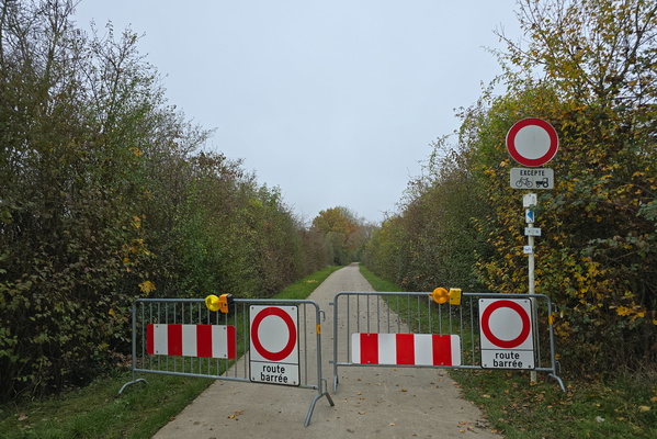 Forbidden path, beckoning adventure