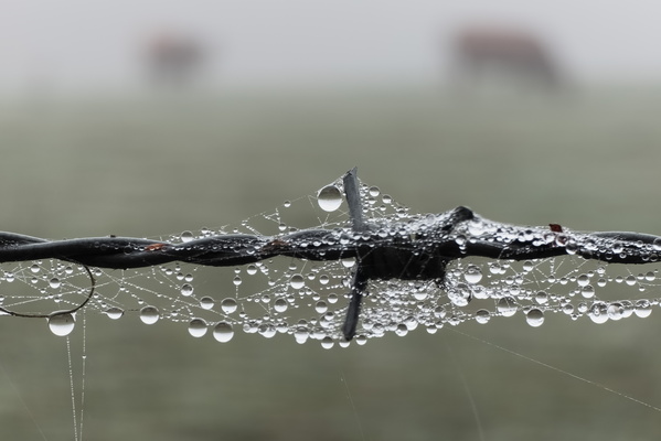 Spidey's water park