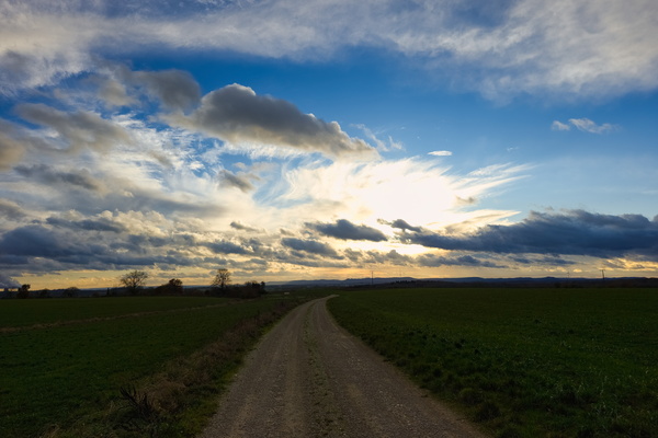 Pathways of life under a setting sun