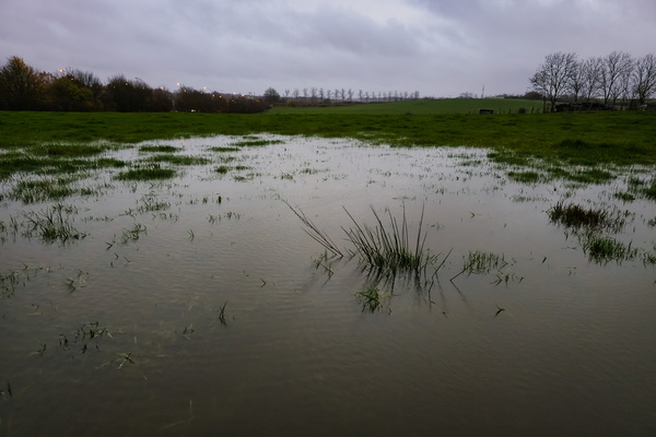 When the puddle becomes a lake