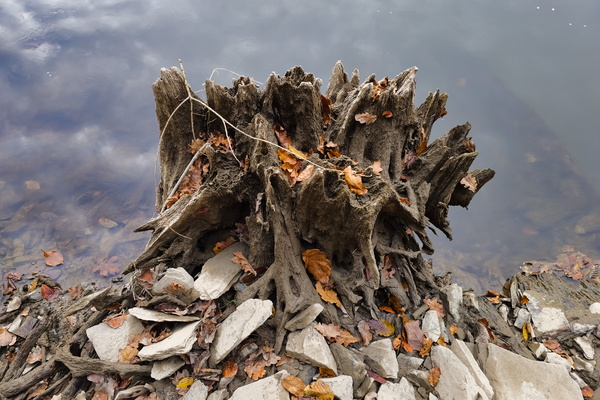 Scene of Nature's artwork