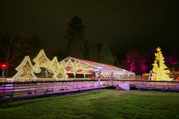 When christmas trees go to the ice rink