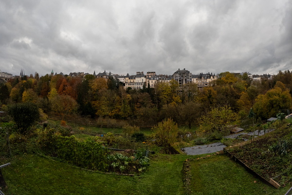 A palette of autumn hues, under a sky of grey