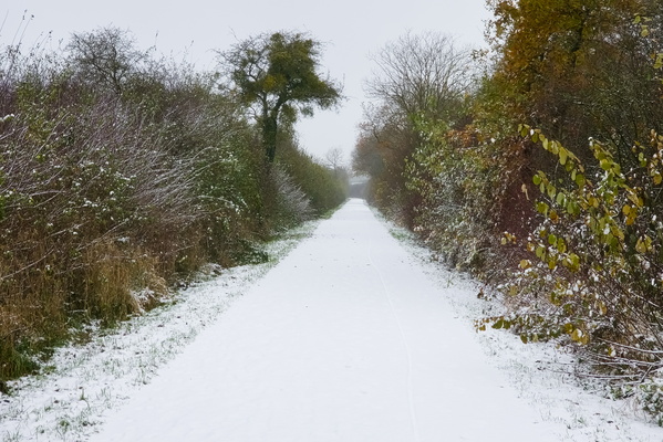Snow Way To Go!