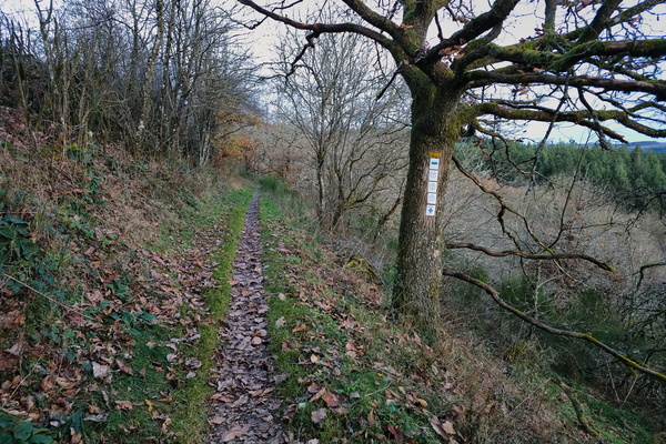 Contemplating the path ahead