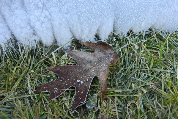 The sharp, crystalline patterns of winter
