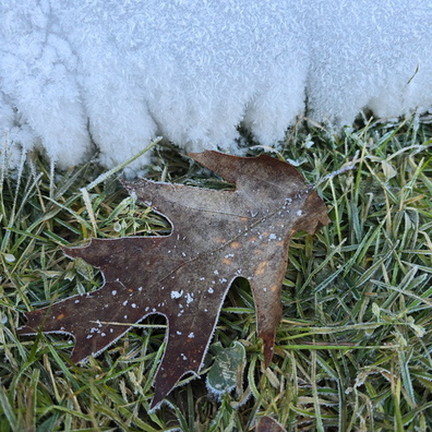 20241129_141940.jpg