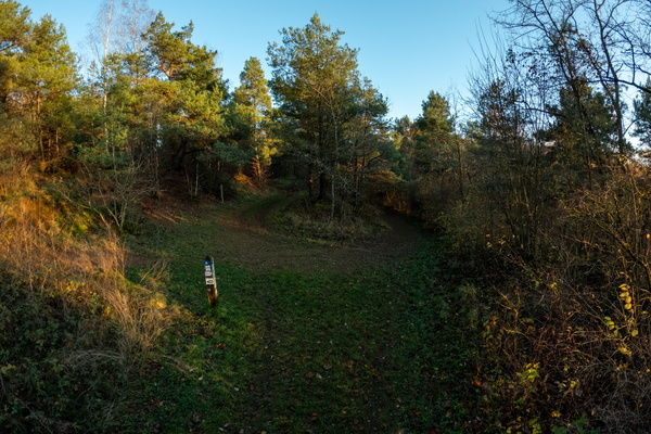 A fork in the path, which way to go?
