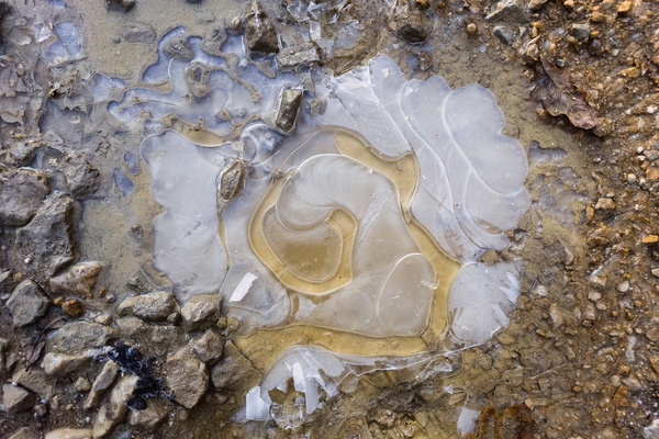 A frozen painting on the ground