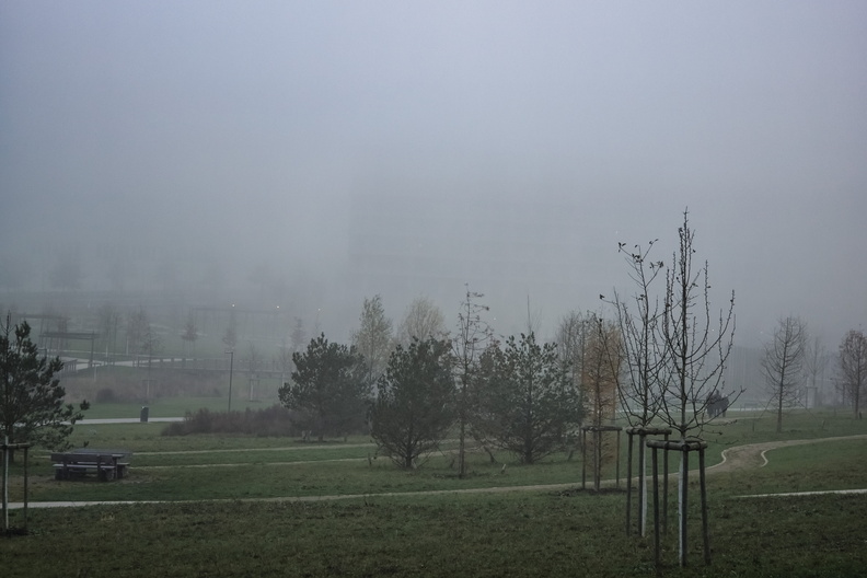 20241130_163314.jpg