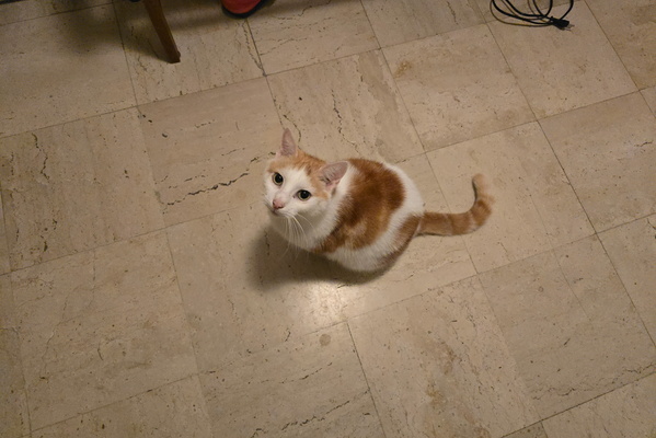 Timmy's upward gaze