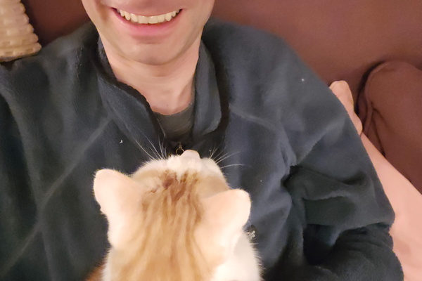 A Cat's Love Nuzzle