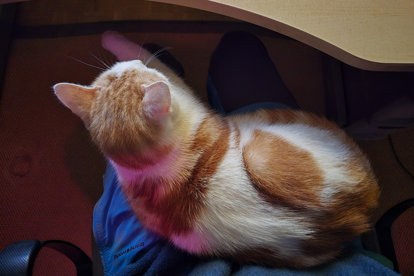 Timmy's Warm Embrace