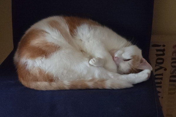Serene naptime