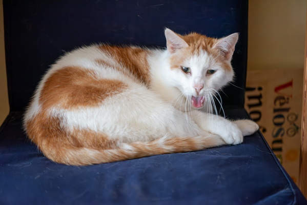 Yawn!
