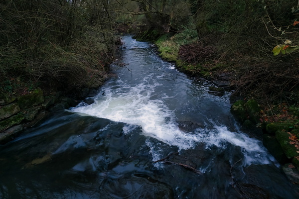 Syre's energetic flow