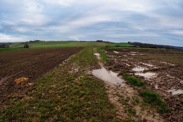 Fields, Reborn