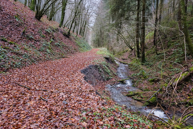 20241206_150006.jpg