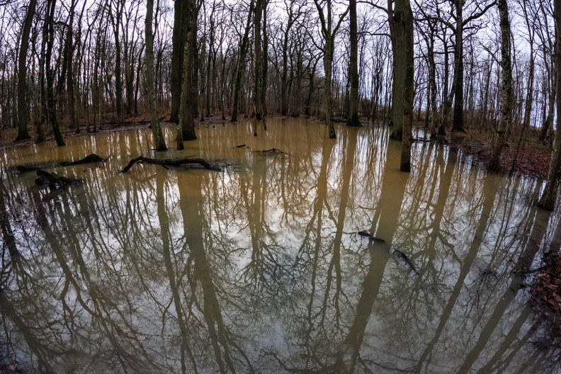 20241207_162433.jpg