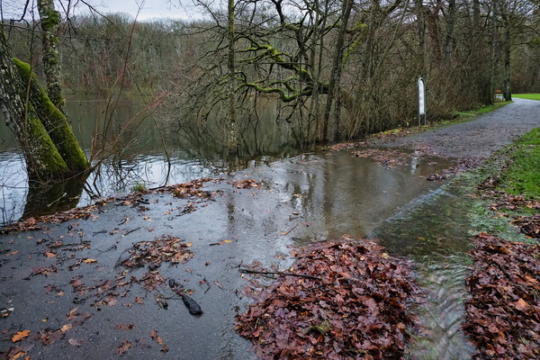 When the path becomes a puddle