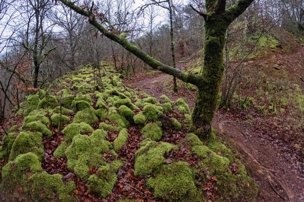 A path into the unknown