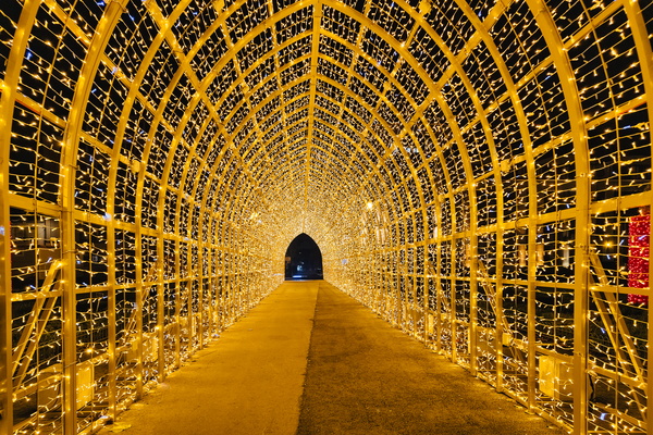 A luminescent path through a dark night