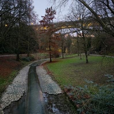 20241211_164855.jpg