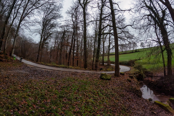Stillness In autumn