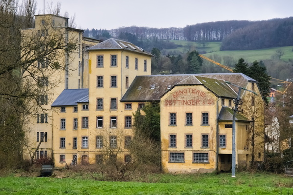 A testament to the beauty of decay