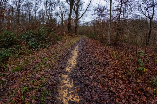 Let's follow this yellow stripe