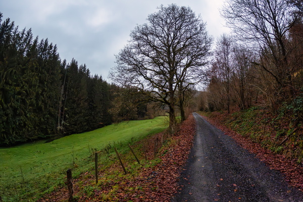 How exciting, another gravel road