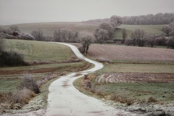 Remembering frosty days