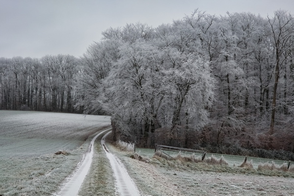 Let's slide along the frosty trail