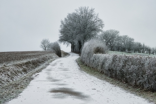 Calm hues in the cold