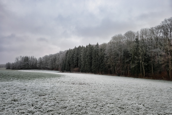 A frosty field day