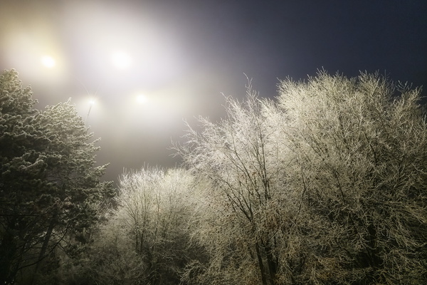 Where frosted dreams reside