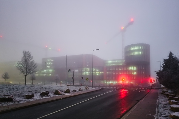 When the fog got a bit too enthusiastic
