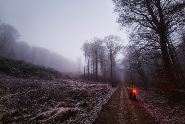 Frosty wheels in a foggy wood