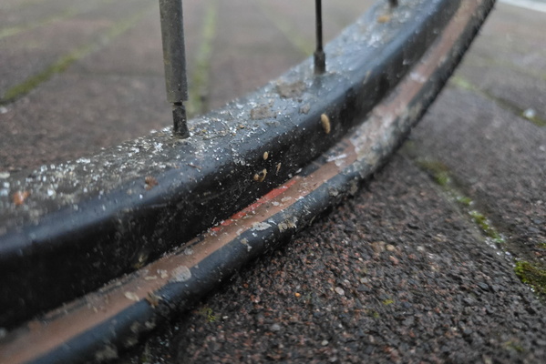 A clean bike with full pressure tyre